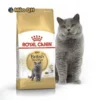 Hạt Royal Canin Cho Mèo Anh Lông Ngắn