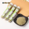 Cỏ Bạc Hà Cho Mèo Catnip